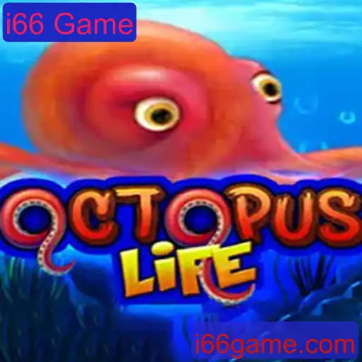 Entendendo o Universo de OctopusLife e a Chave para o Sucesso no i66 Game